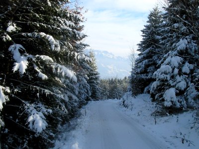 Buchserberg etc. 035