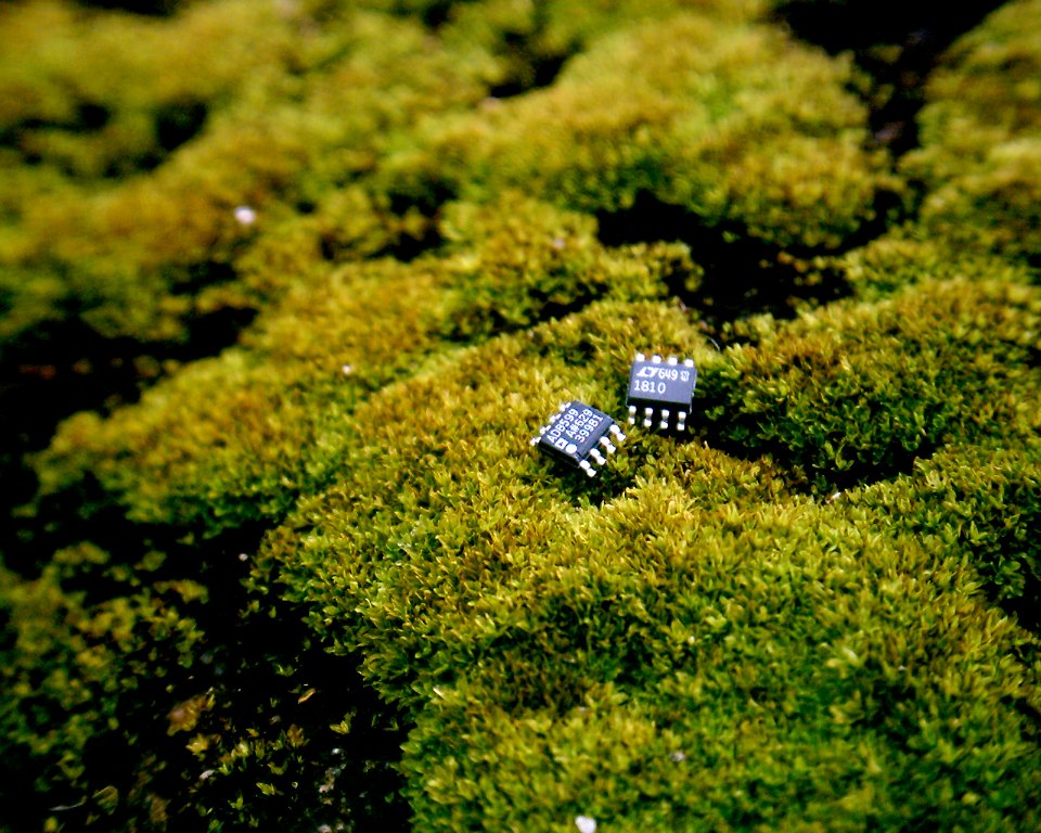 vivitar3315 + biconvex lens 076
