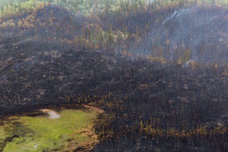 Currant Creek Fire, 6-27
