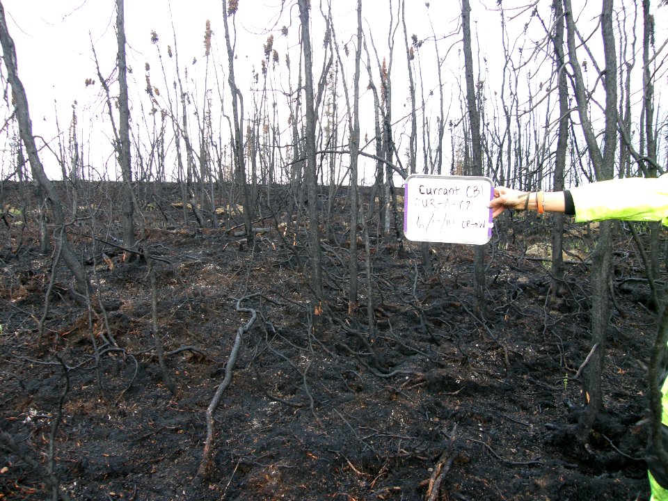 Current Creek Fire 6/17/14