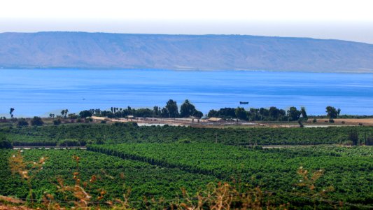 Sea of Galilee photo