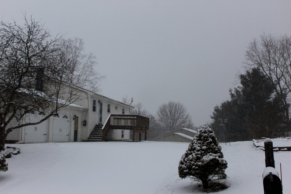 New York Snow