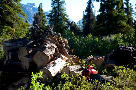 fire wood and fuel