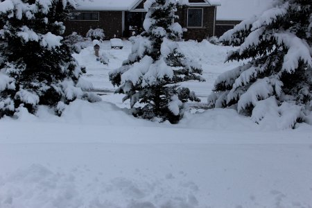 December 1 & 2 Snow Fall- 2019