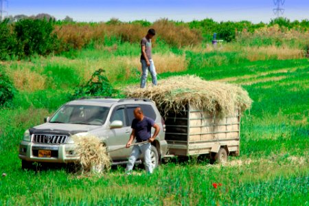 Tractor replacement
