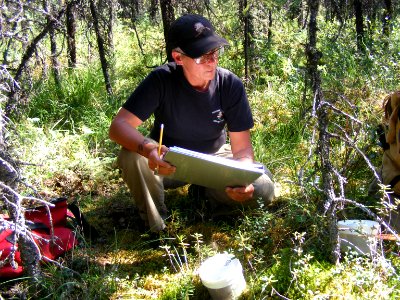 Fuel sampling, Denali National Park, 2015, NPS Photo
