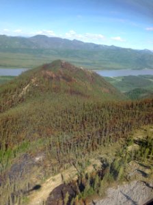 Trout Creek Fire, Yukon-Charley Rivers National Preserve photo