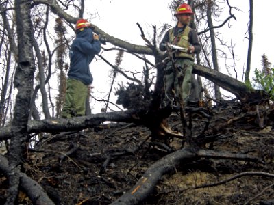 High Severity Burn Area