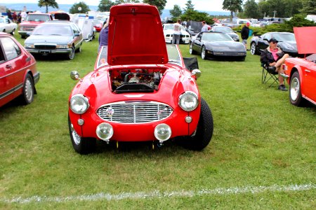 Austin Healy