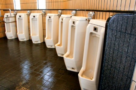 The shining toilets - Japan photo