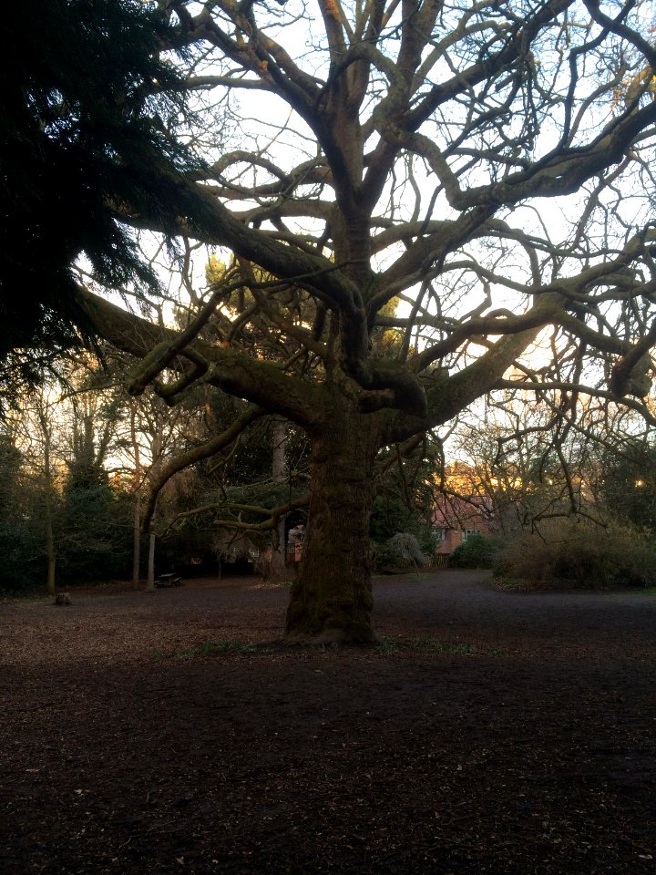 Mycenae House gardens