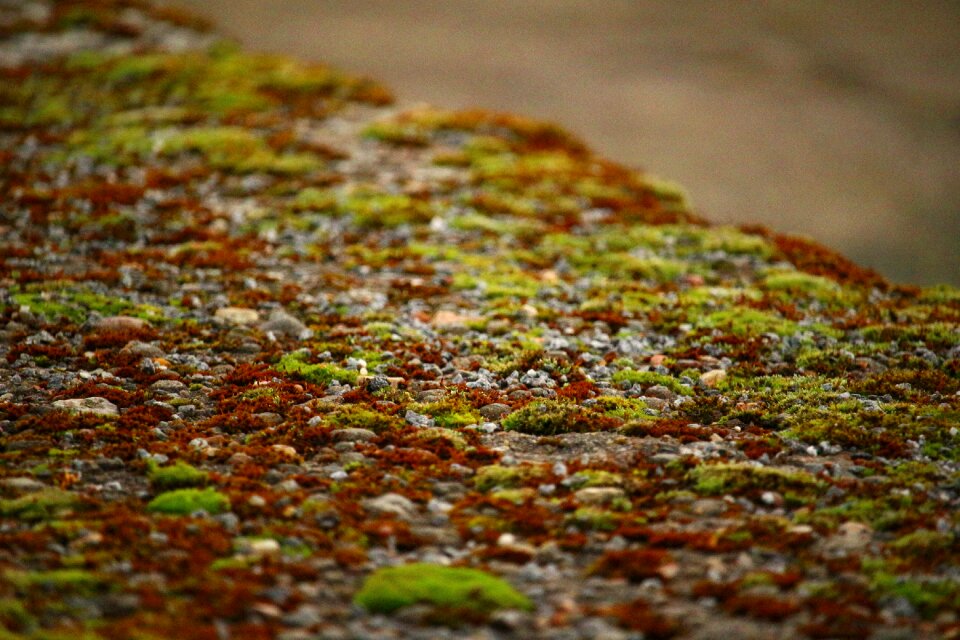Stone weathered nature