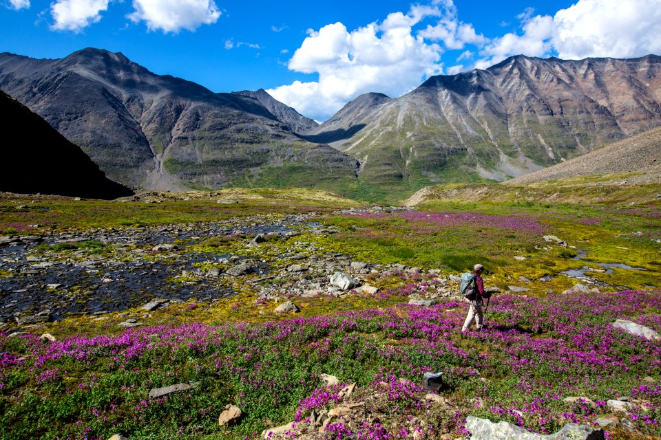 Hiking in the Alpine in the Bremner District