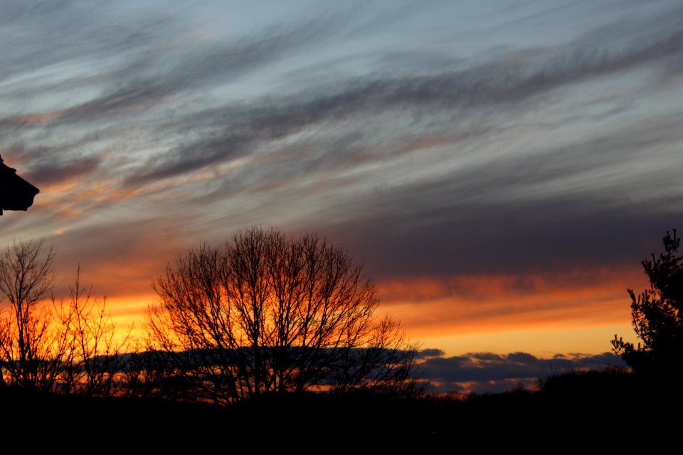 February Warm Evening Glow