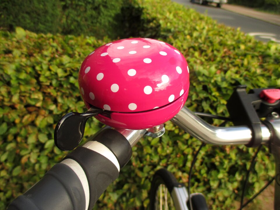 Spotted pink close up