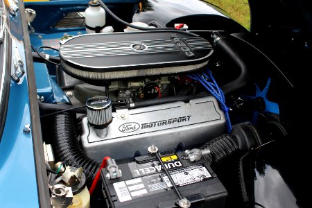 Ford Cobra Motor photo