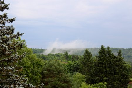 After a Storm