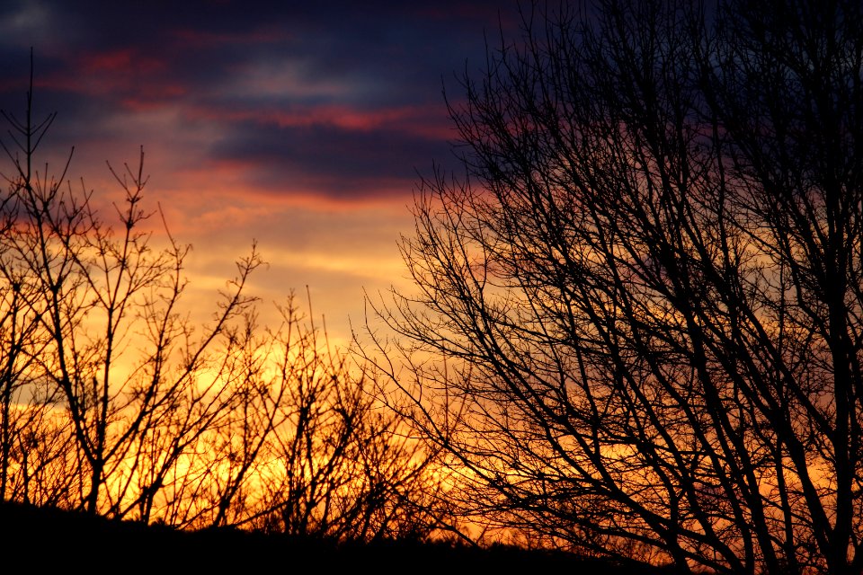 Saturday, January Sunset 1/16