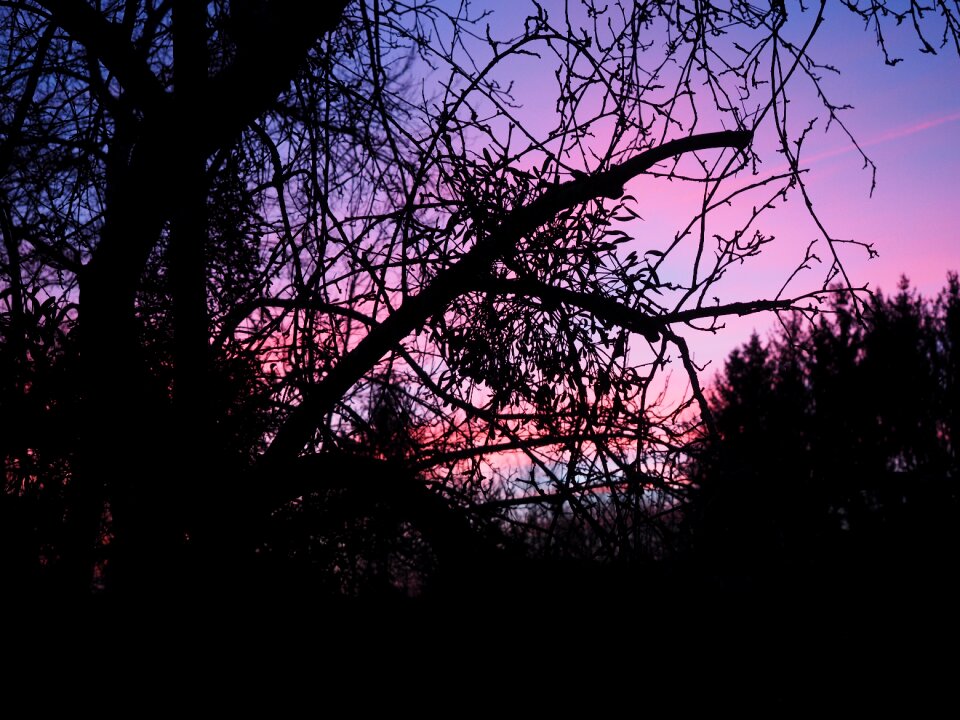 Sunset evening sky sky