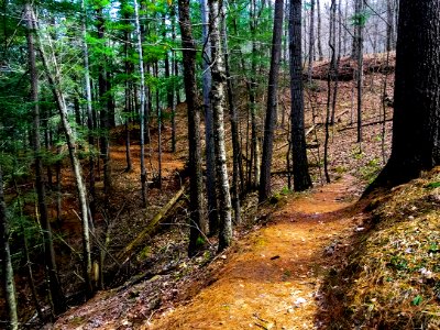 mt pisgah-012