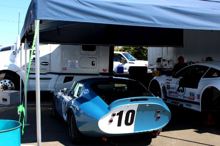 Daytona Cobra
