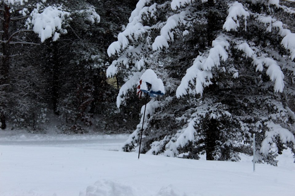 December 1 & 2 Snow Fall- 2019