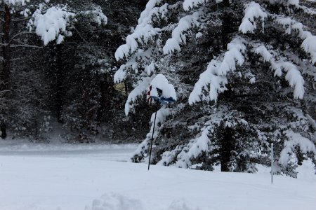 December 1 & 2 Snow Fall- 2019