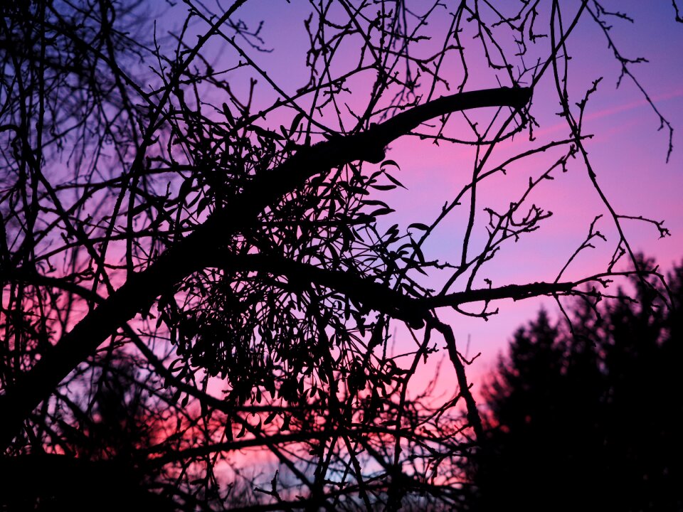 Abendstimmung sunset evening sky
