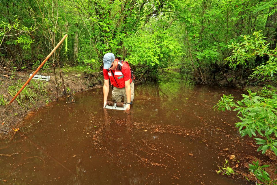 U.S. Geological Survey, Sample Site, Turkey Creek (downstream), at Highway 41, Francis Marion National Forest, Berkeley County, South Carolina, Jeff Riley 1