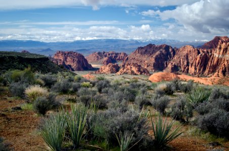 18th Place - Red Cliffs Desert Tortoise Reserve