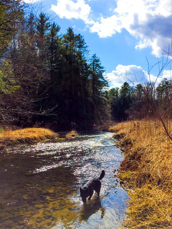 billings creek-003