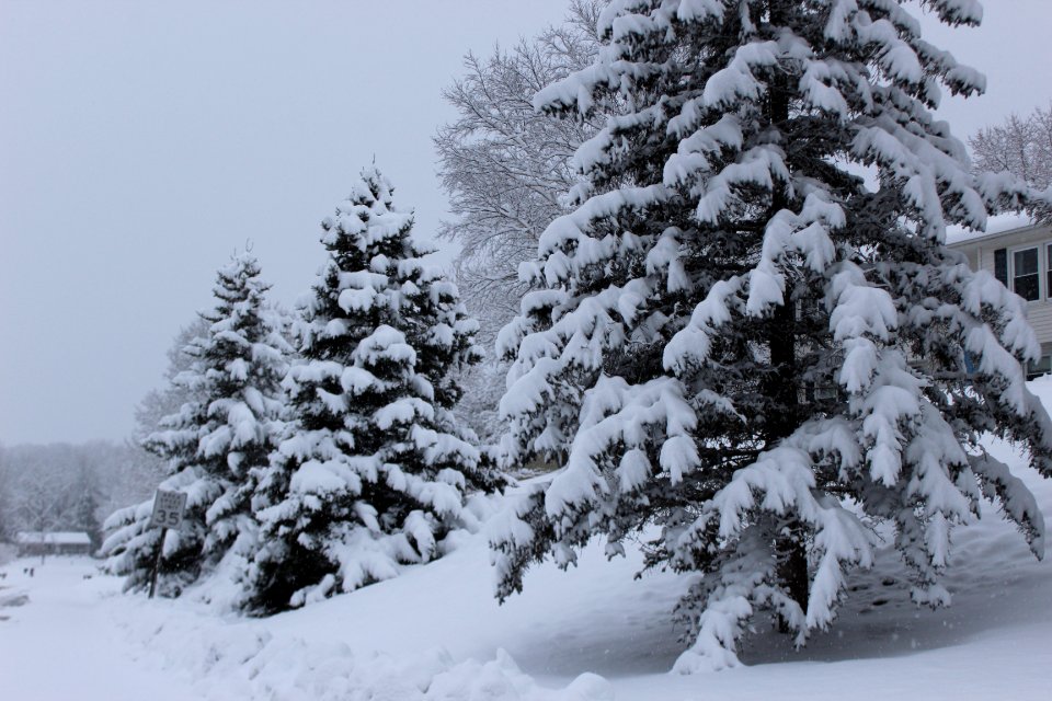 December 1 & 2 Snow Fall- 2019