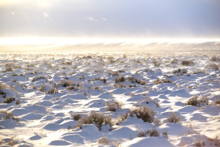 Sage steppe at Seedskadee National Wildlife Refuge