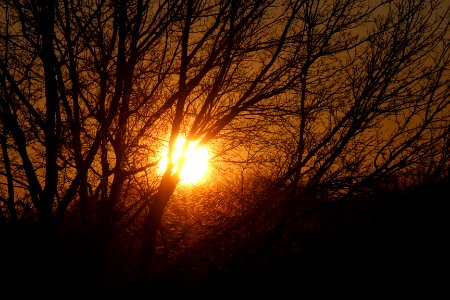 Warm Sun Setting