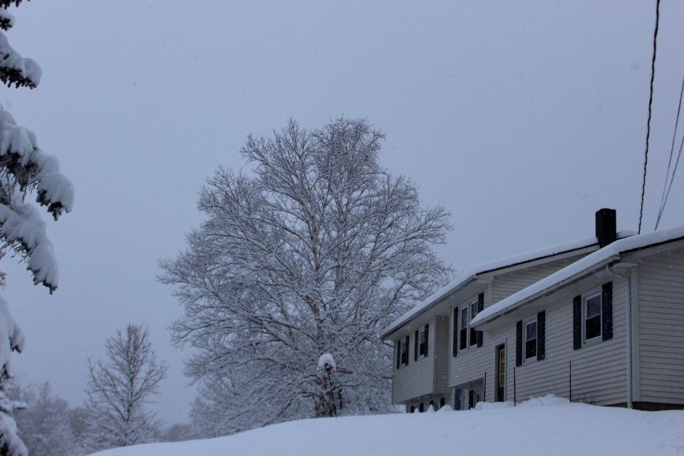 December 1 & 2 Snow Fall- 2019
