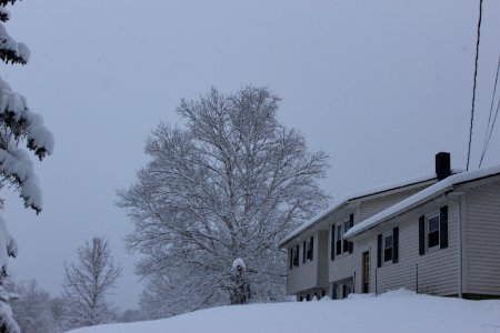 December 1 & 2 Snow Fall- 2019