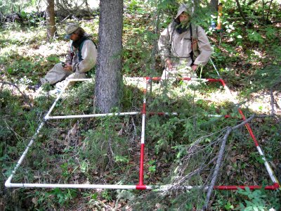 Carl Roland and Peter nelson collect plant diversity and composition data in the western lowlands of Denali NP.