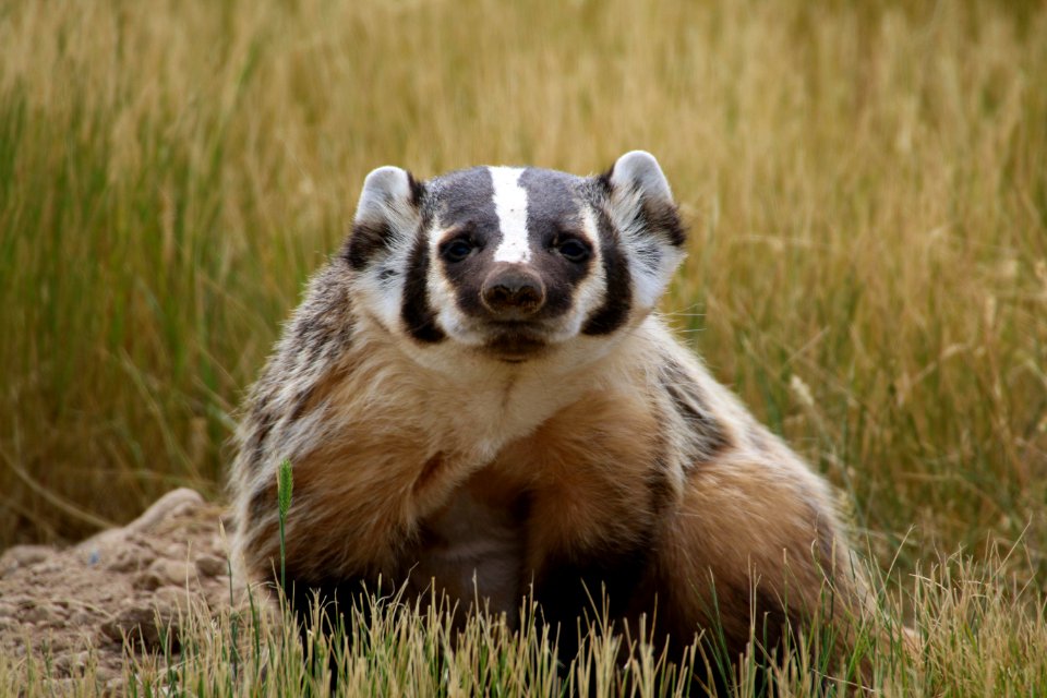 What are you looking at?