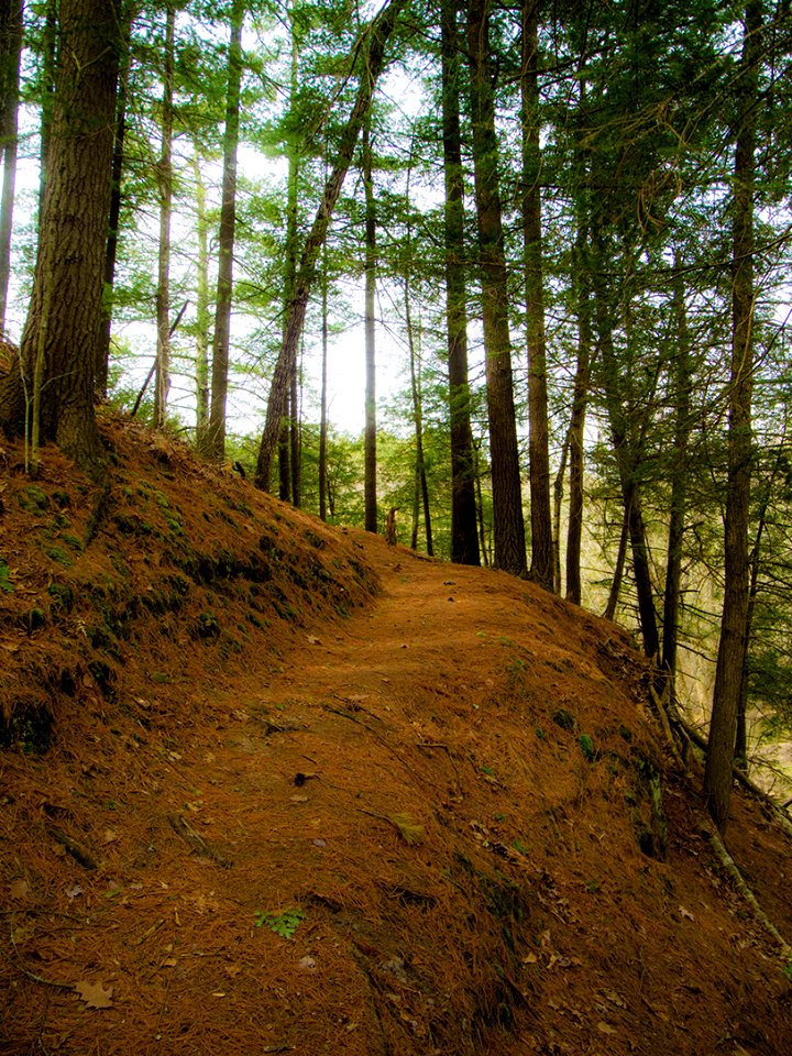 mt pisgah-005