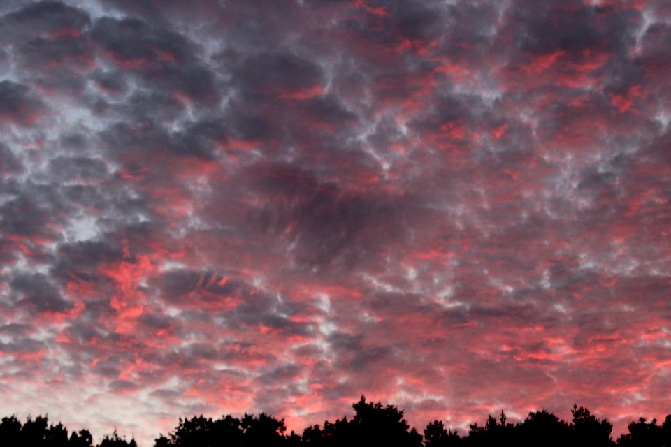 July Sunset