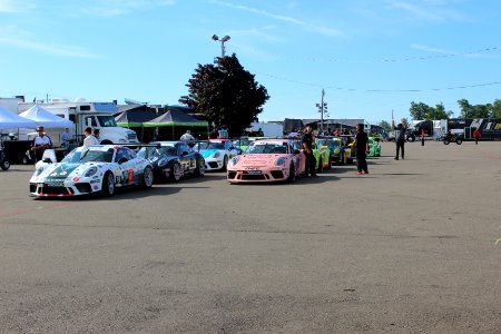 Line Up