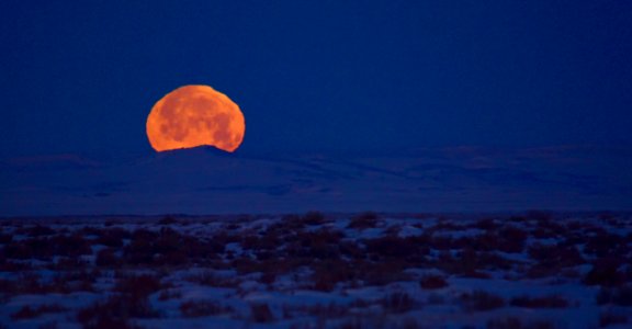 Moonset at Seedskadee National Wildlife Refuge photo