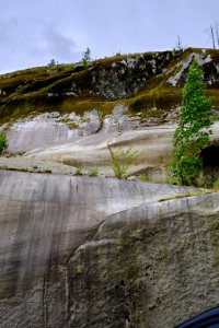 Mossy rock in Squamish