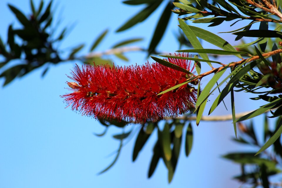 Nature garden floral