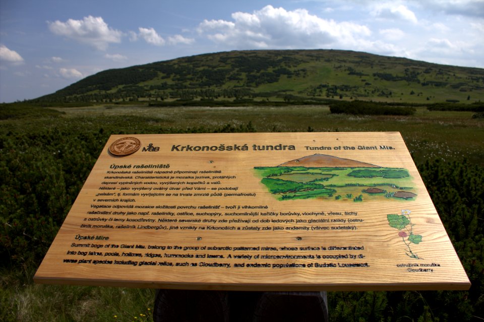 Cedule Úpské rašeliniště