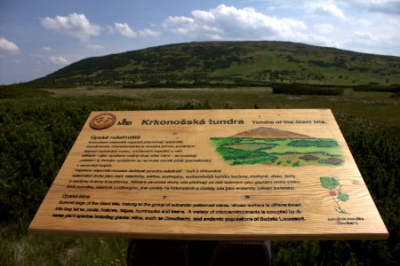 Cedule Úpské rašeliniště