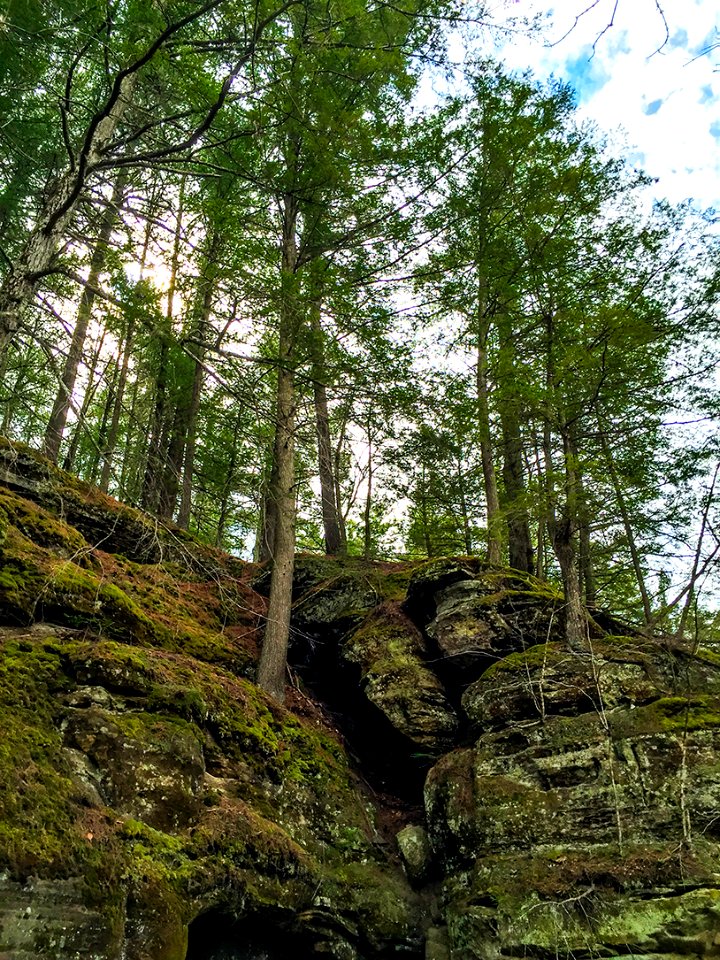 mt pisgah-013