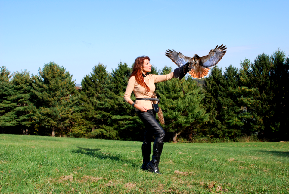 Tina, Falcon - enjoying the ancient art of Falconry, on a perfect fall day.