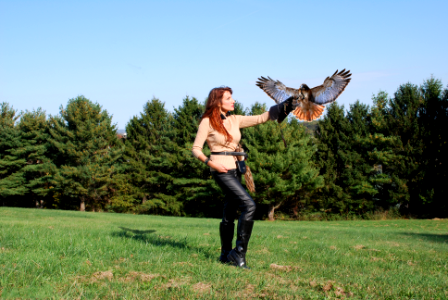 Tina, Falcon - enjoying the ancient art of Falconry, on a perfect fall day. photo