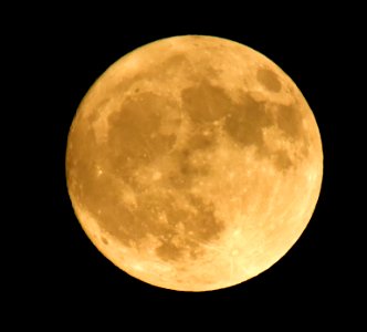 The Beaver Moon over Seedskadee National Wildlife Refuge photo